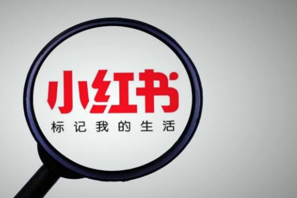 安卓下载两个小红书方法